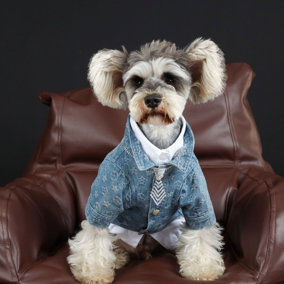 chewy vuitton dog coat