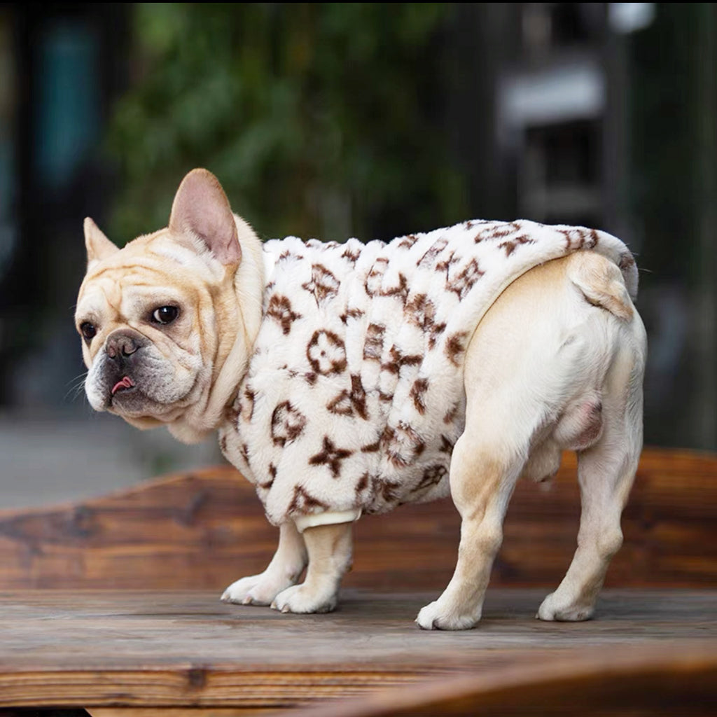 Chewy Vuitton Dog Monogram Dress