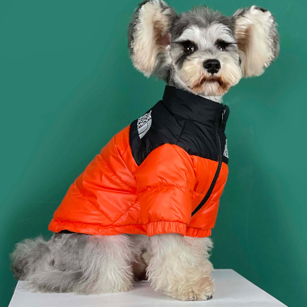 Louis Pawtton Smiley Face Designer Dog Winter Jacket