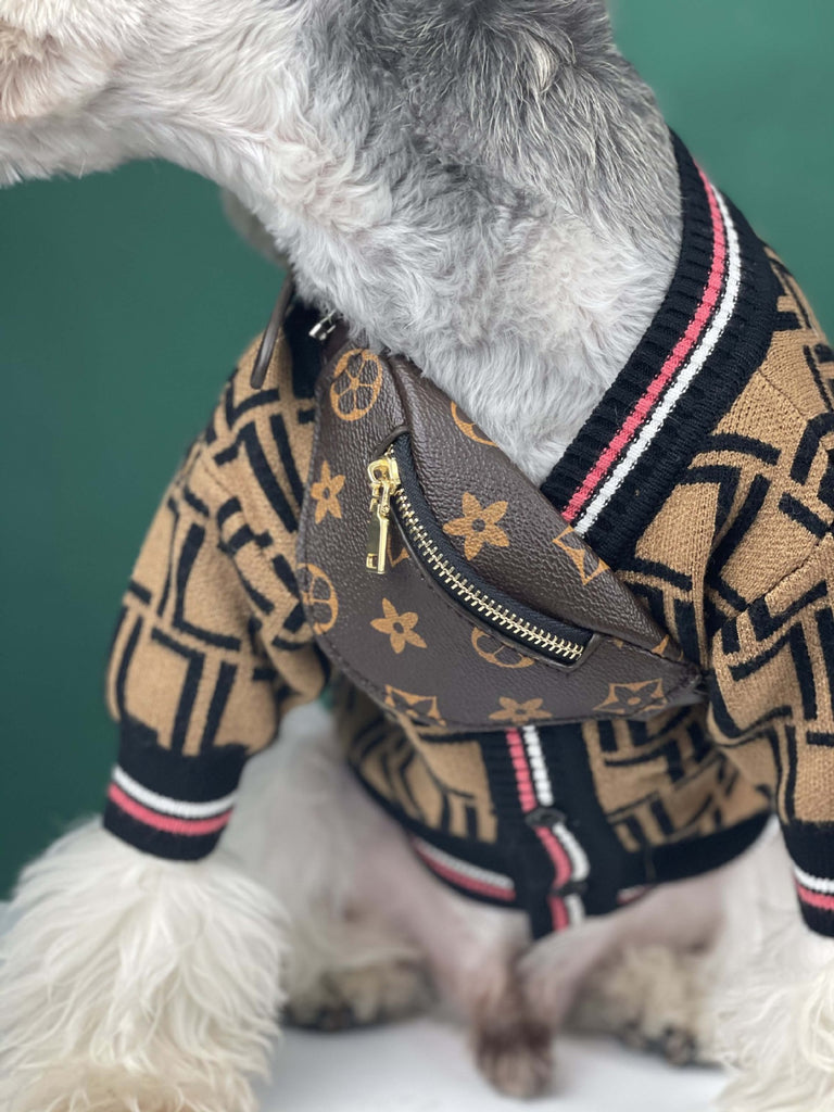 Chewy Vuitton Fanny Pack – Winston Wants Fashion Wardrobe
