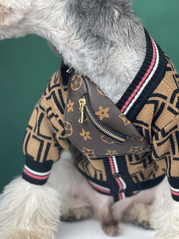 Chewy Vuitton Fanny Pack – Winston Wants Fashion Wardrobe