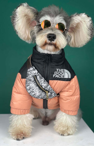 Chewing Dogior Monogram Denim Dog Jacket